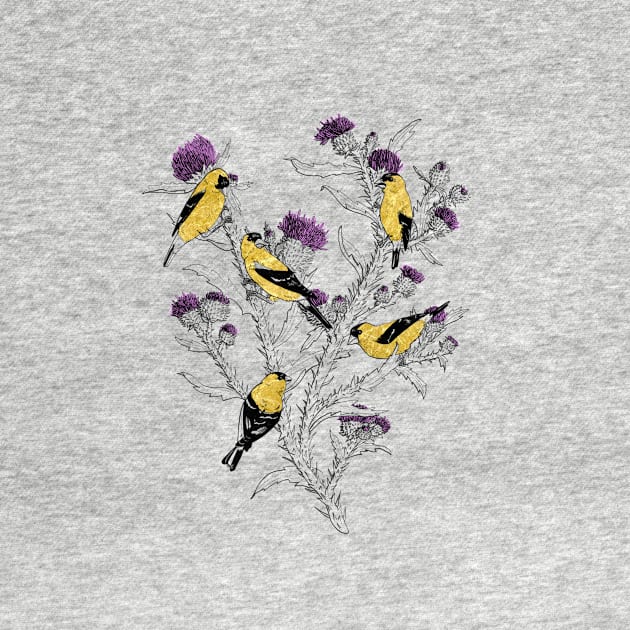 Goldfinches by Warbler Creative